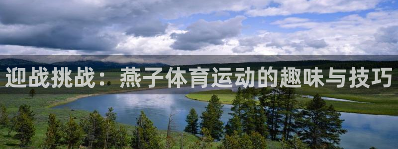 球速体育