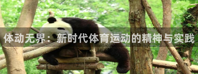 球速体育：体动无界：新时代体育运动的精神与实践