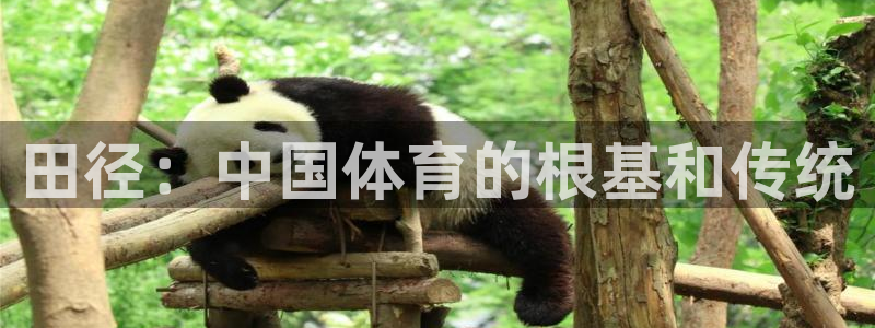 球速体育：田径：中国体育的根基和传统