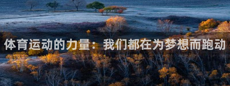 球速体育