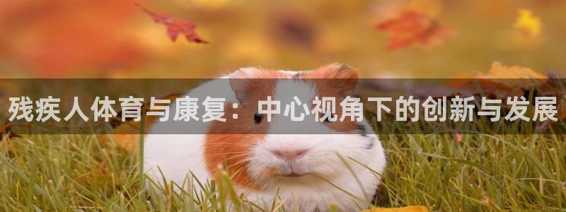 球速体育：残疾人体育与康复：中心视角下的创新与发展