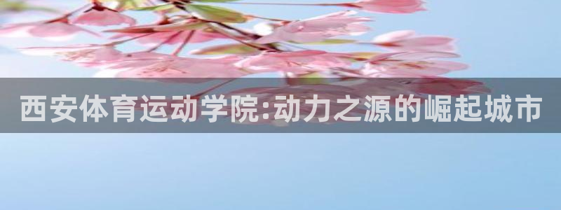 球速体育：西安体育运动学院:动力之源的崛起城市