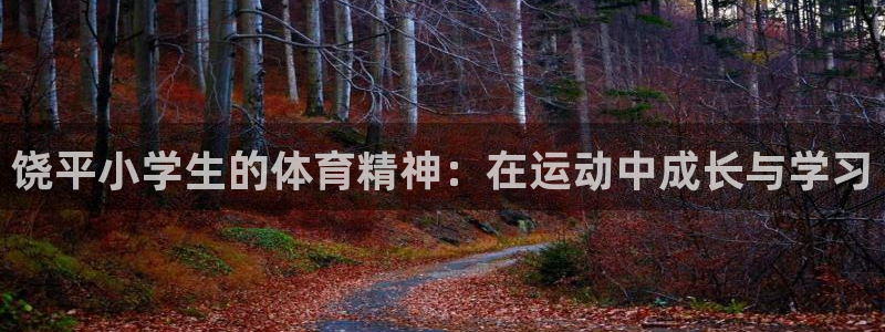 球速体育