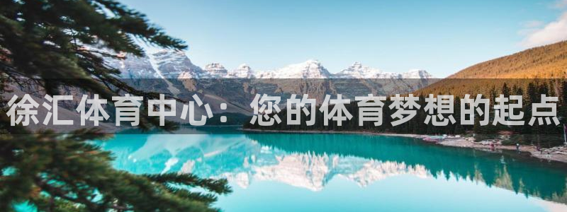 球速体育
