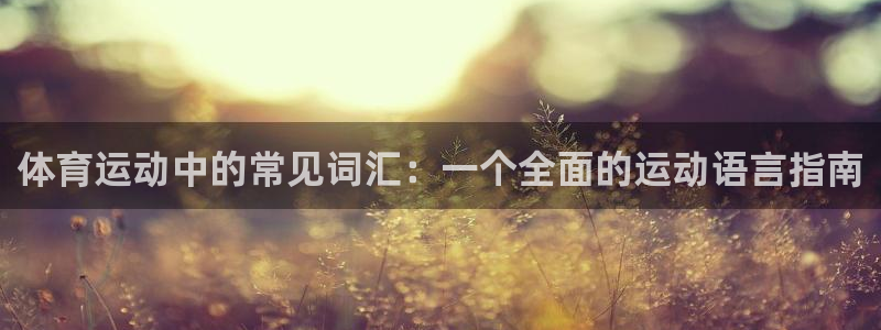 球速体育：体育运动中的常见词汇：一个全面的运动语言指南